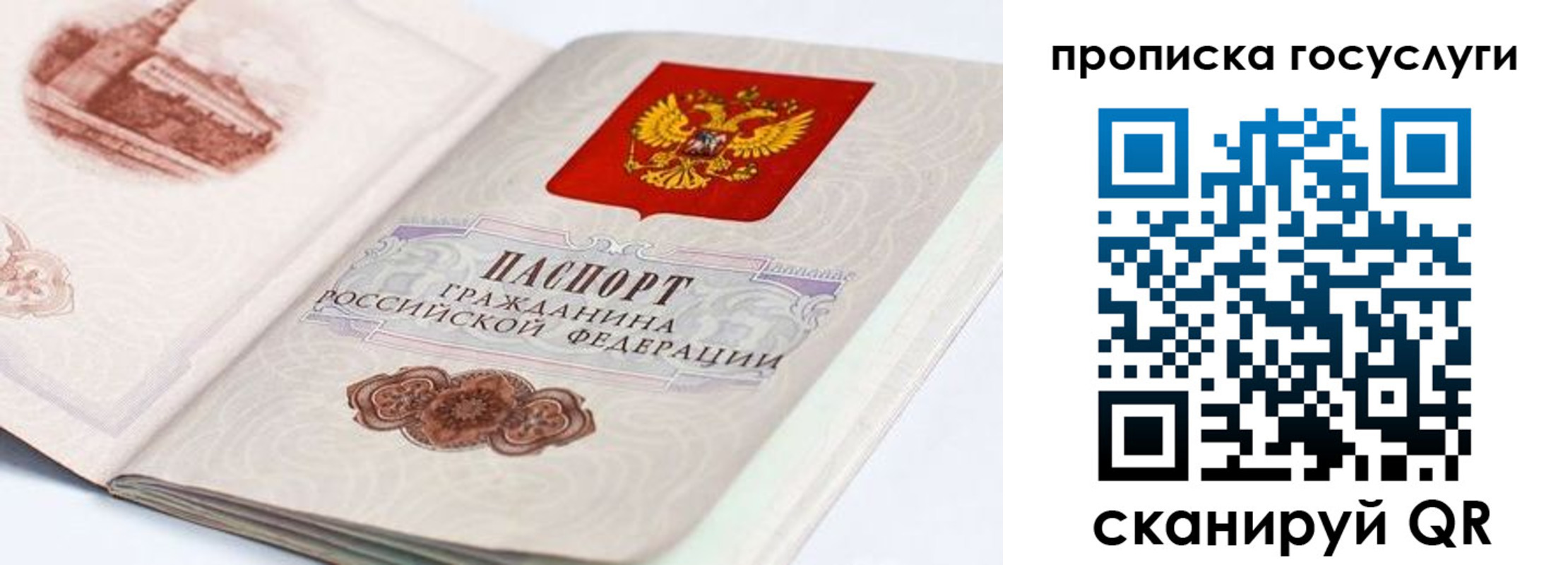 прописка гарантия в Лысково